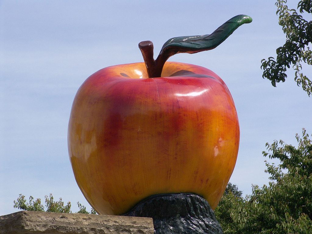 Apfel am Hof Halbhuber